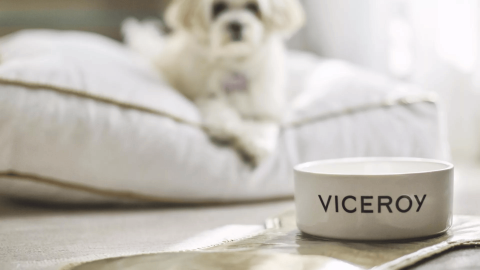 A dog sitting on a pillow looking at a dog food bowl with viceroy written on it at Viceroy Kopaonik Serbia