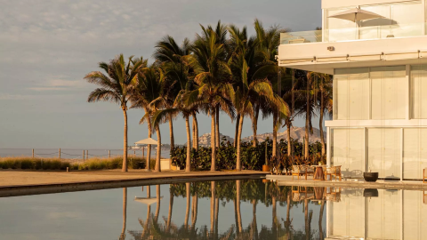 Poolside at Los Cabos with beautiful palm trees and a view of the ocean