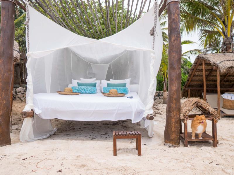 dog stands in small cabana next to a white cabana