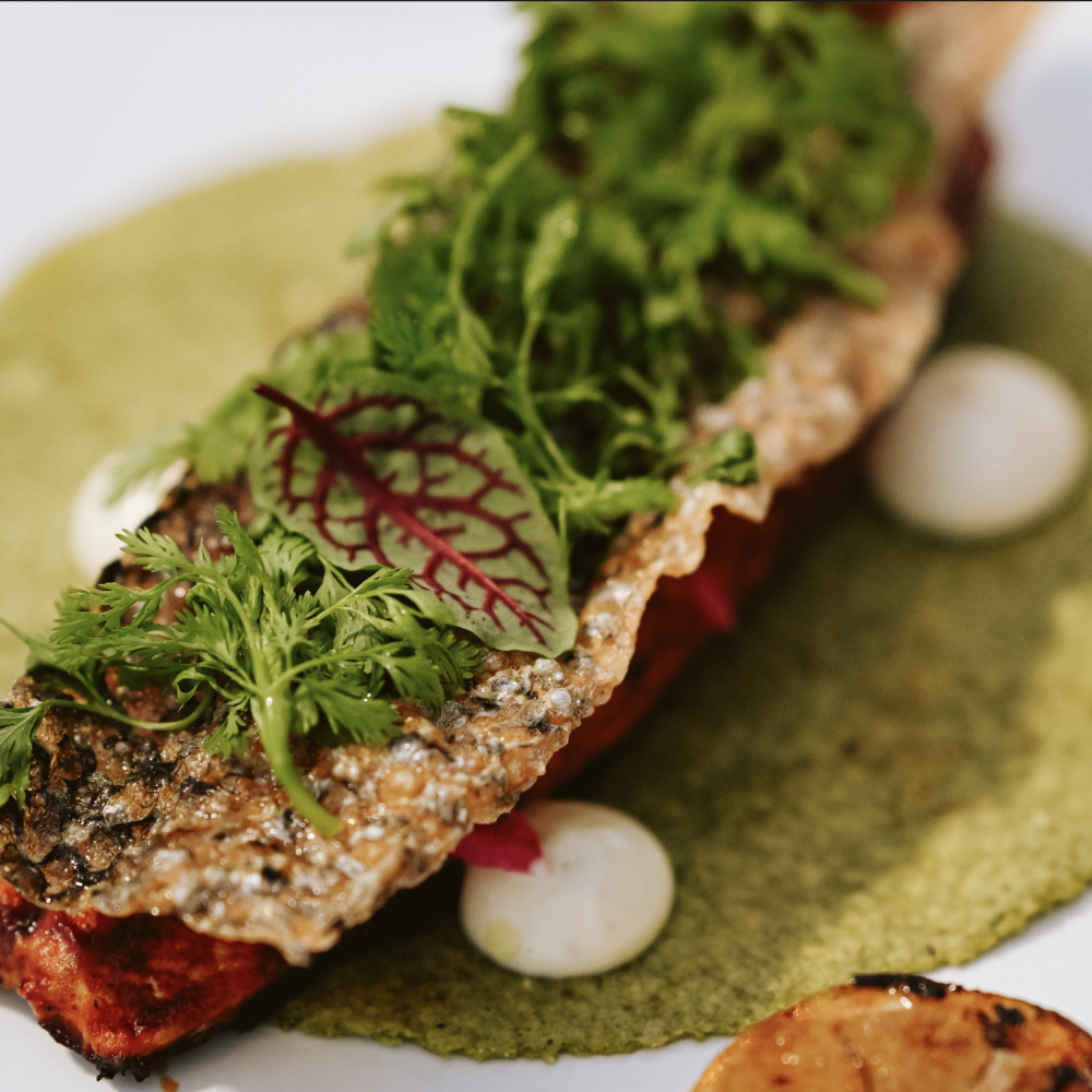 A gourmet plate with salmon
