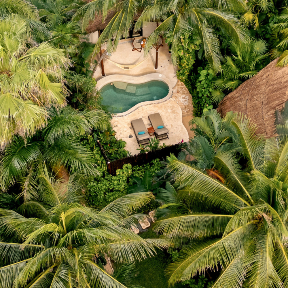 Vue aérienne d'un complexe hôtelier tropical avec une piscine de forme libre, des transats et un bungalow au toit de chaume, le tout entouré de palmiers luxuriants.