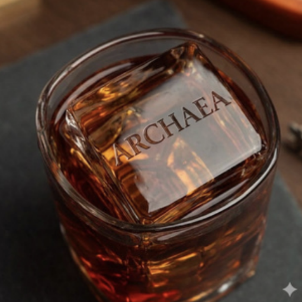 speakeasy vlc