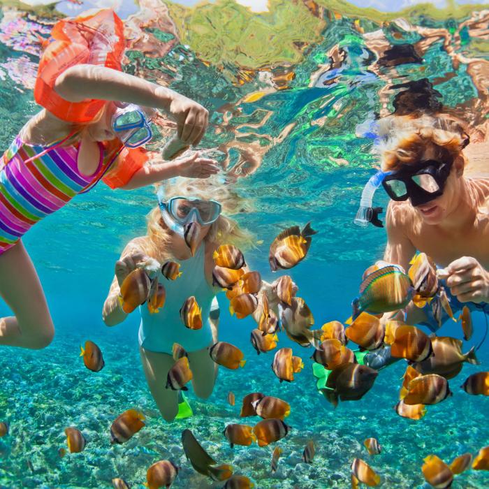 underwater view of family snorkelling with multiple fish