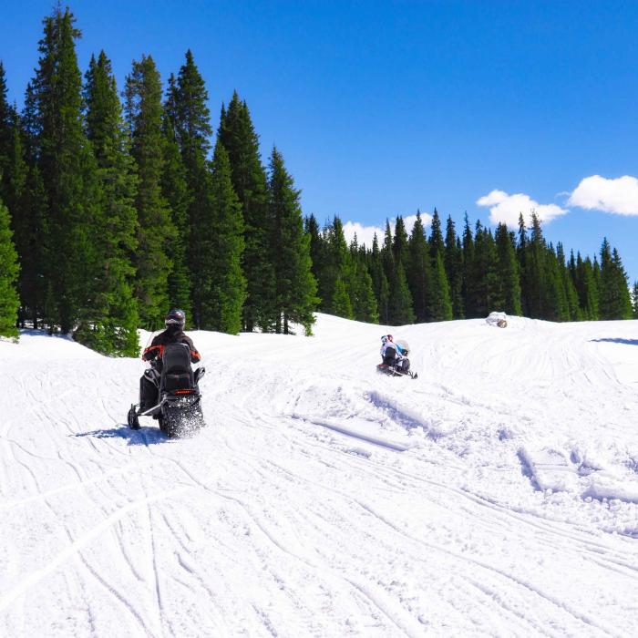 Two snowmobiles drive through a snowy landscape