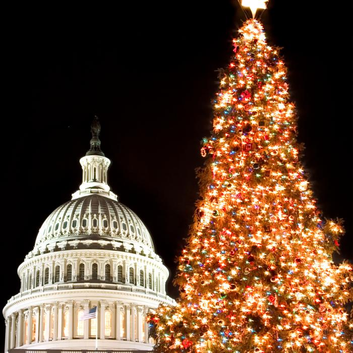 A brightly lit Christmas tree in front of the White House. 