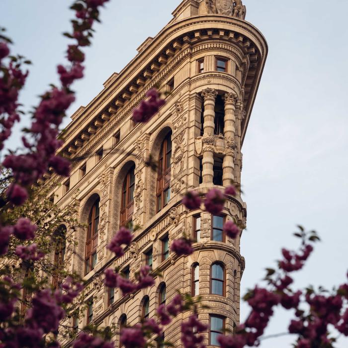 A curved, ornate stone building rises behind purple flowering branches, with rooftop statues and a bird flying overhead.