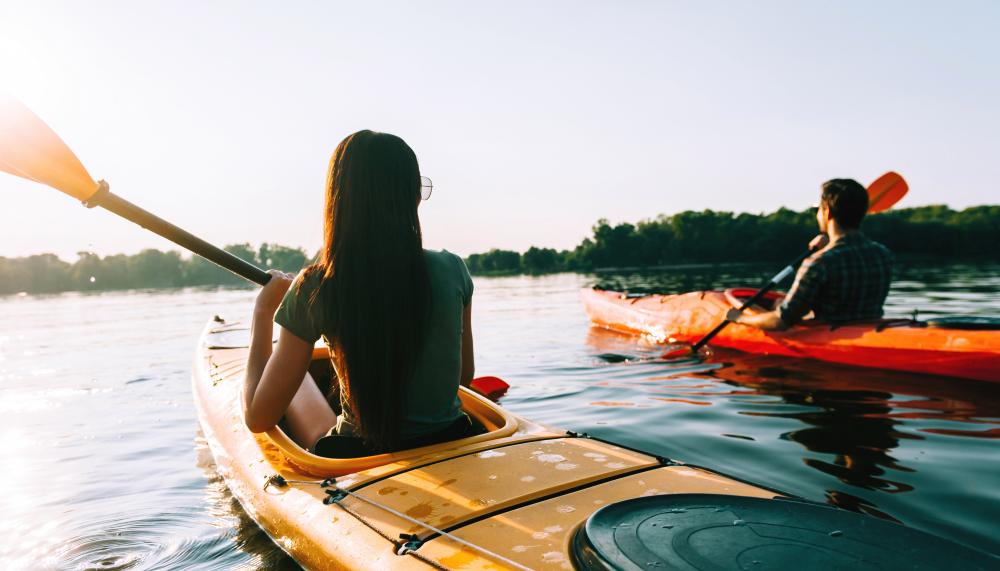 Two kayakers on a sunny river