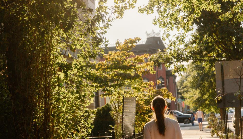 VDC Neighborhood with tree-lined street