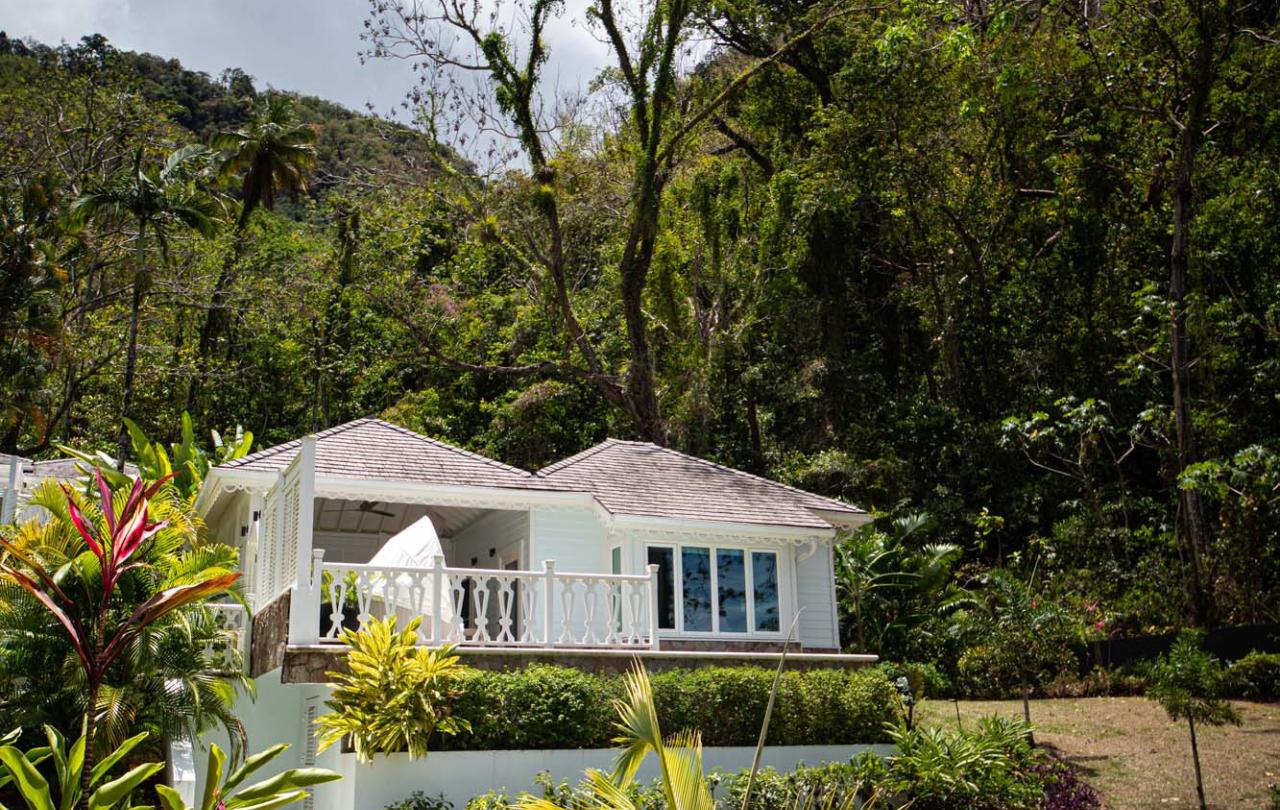 exterior of the cottage in the woods