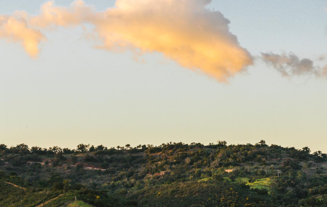 Colinas verdes ondulantes sob um céu suave ao entardecer, com uma nuvem fofa banhada pelo sol a pairar no céu.