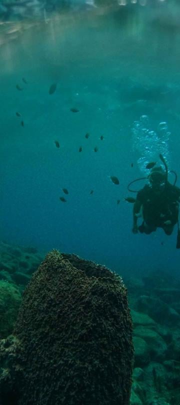 A man scuba diving