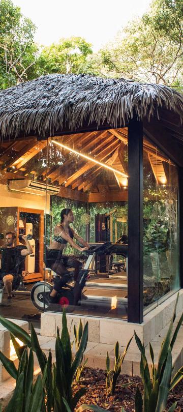 people on exercise machines in an enclosed building surrounded by jungle