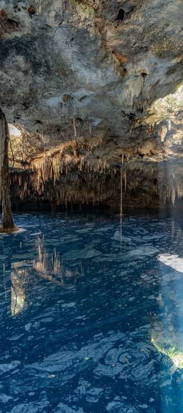 sunlight shining through a whole into the cenote