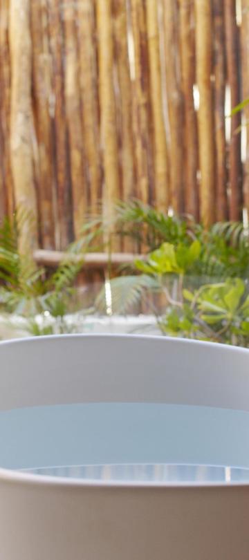 riviera maya Premium Villas with Private Plunge Pool