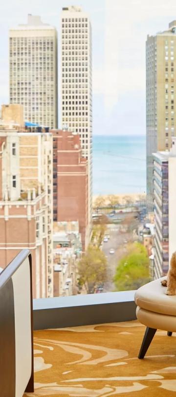 A woman seated in a Viceroy hotel suite scratches the chin of her small pet dog, seated on an ottoman, in view of a city landscape through a large bay window.