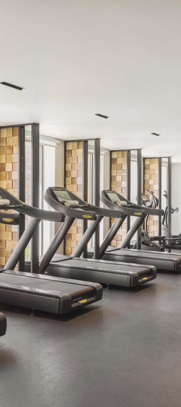A row of treadmills in a fitness room at Viceroy Kopaonik Serbia