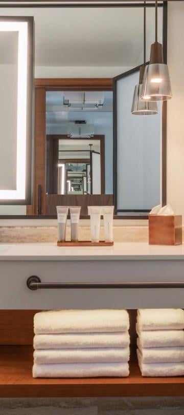 The vanity in a washroom at at Viceroy Kopaonik Serbia