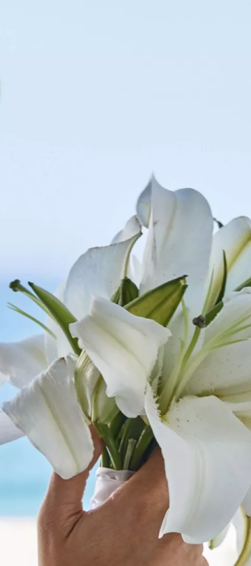 A woman in a white dress smiling while staring flowers she is holding while at Viceroy Los Cabos