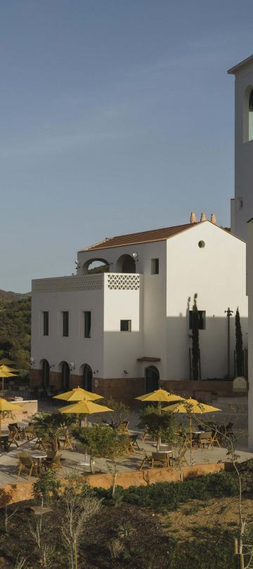 The exterior of Cafe Central with tall white buildings and yellow sun umbrellas covering the patio