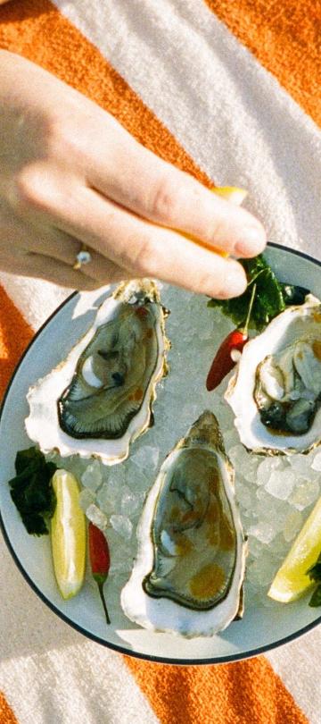 A plate of oysters and cocktail