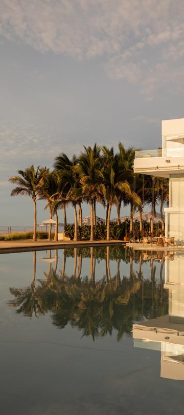 A large villa-side pool lined with palm trees