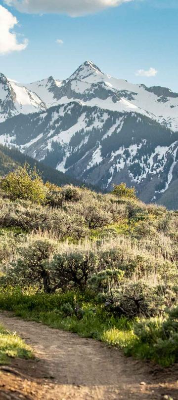 Deux personnes à vélo sur le flanc d'une colline verdoyante, avec en arrière-plan des montagnes enneigées.