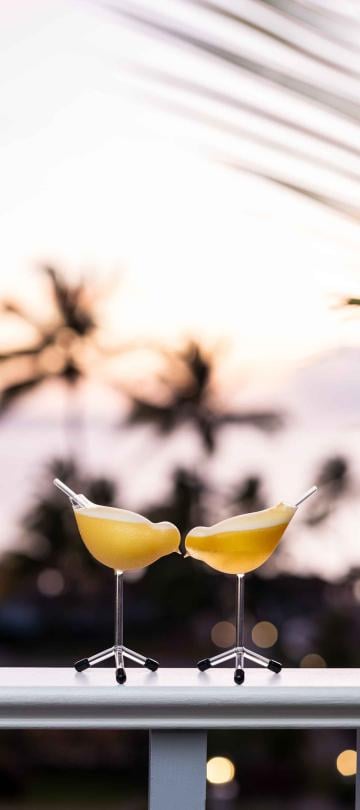 Two cocktails in fun bird shaped glasses at Saltwood Restaurant