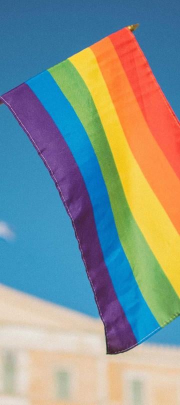A person waving a pride flag at the pride parade near Viceroy Zena Washington DC
