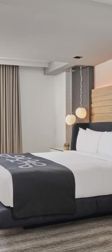 The view of the whole room with a bed, desk, and armchair at Viceroy Zena