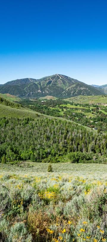 viceroy-sun-valley-coming-soon