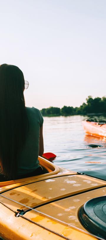 Two kayakers on a sunny river