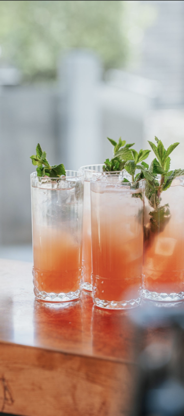 Palomas