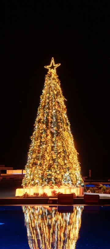 christmas tree