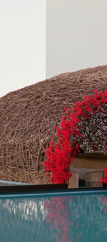 red flowers frame entrance of covered pool area