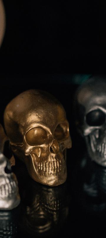 decorative skulls