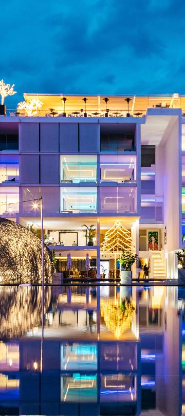 festive reflections