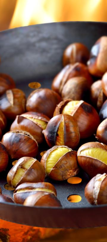 chestnuts