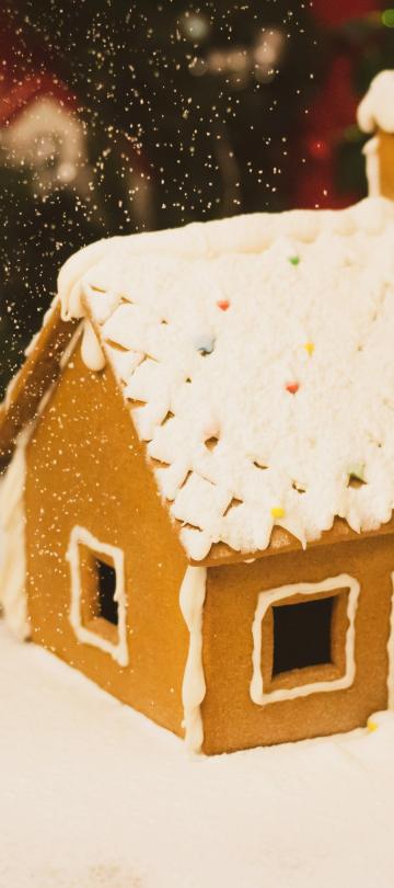 gingerbread house