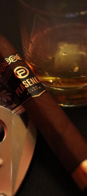 cigar