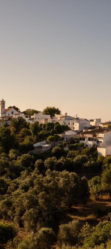 Elevated wide view of a small Portuguese village with white houses, surrounded by green trees and hills under a warm, hazy sky.