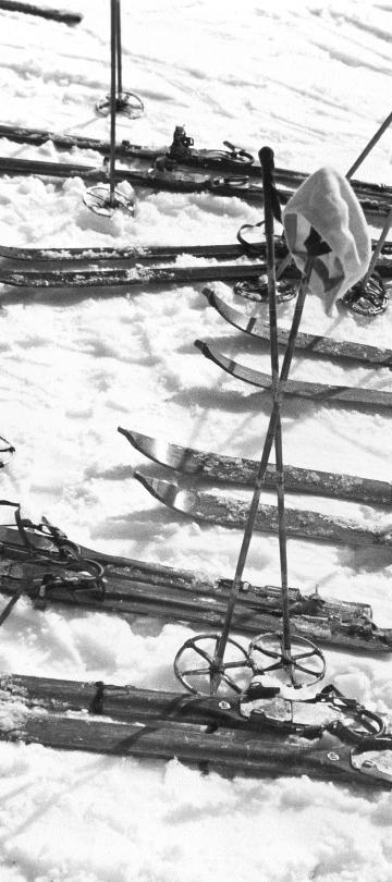 skis
