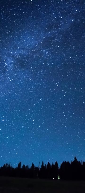 Un cielo nocturno con estrellas y una galaxia