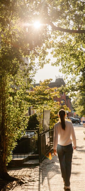 VDC Neighborhood with tree-lined street