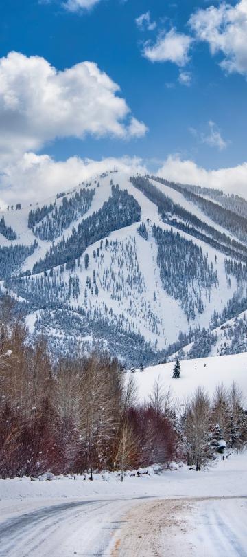 Le pays des merveilles hivernales