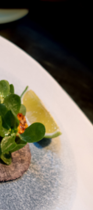 Taco Omakase & Mezcal Pairing