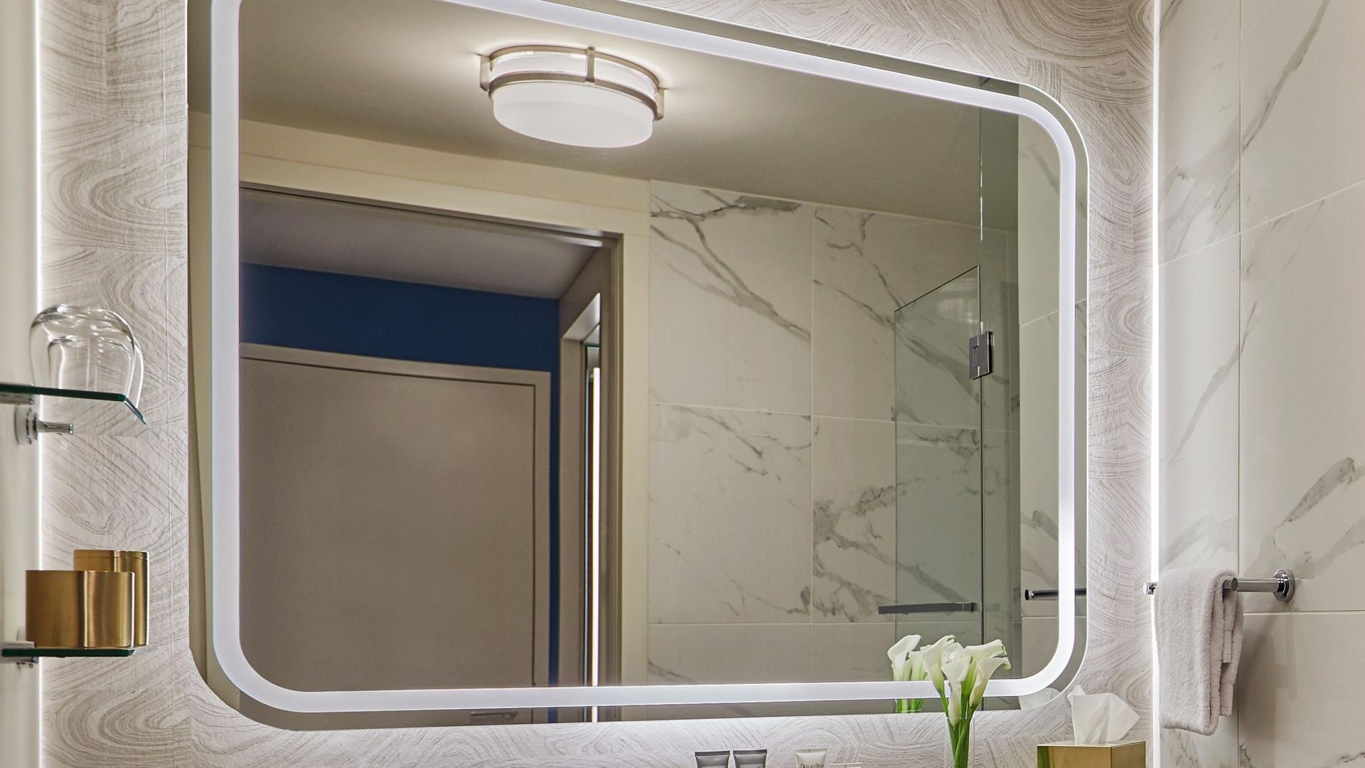 Mobility/Hearing Accessible Deluxe King, Roll-In Shower