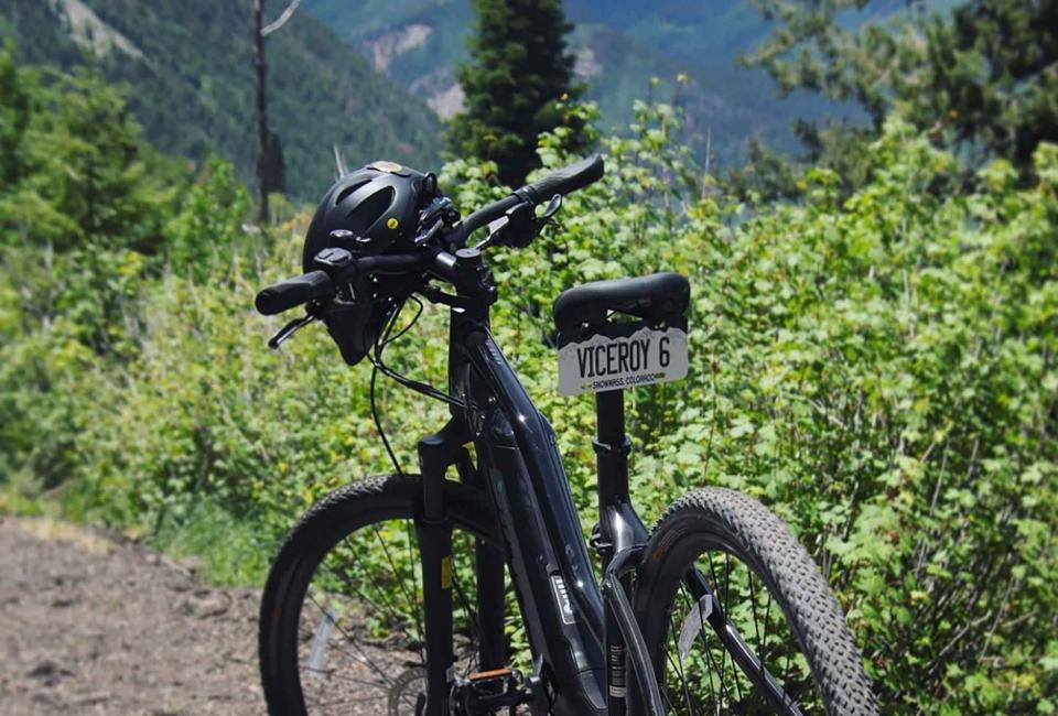 ebike parked on trail with mountains and trees in background