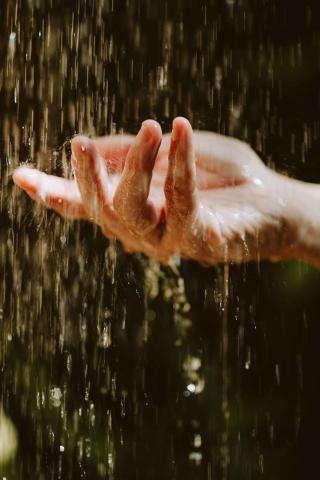 a person holding their hand under water