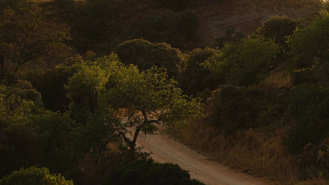 A hiking trail near Ombria Algarve