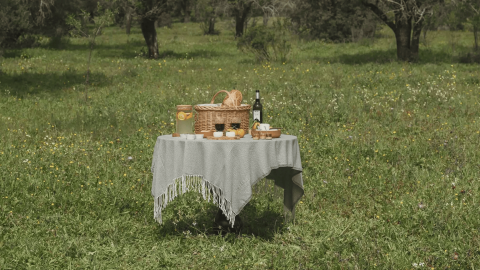 A table set up for a picnic with a basket and a bottle of wine in a field at Ombria Algarve